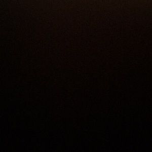 Meet your Posher, Toni